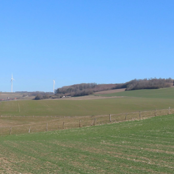 Projet de Delouze-Rosières-Demange-Baudignécourt.
